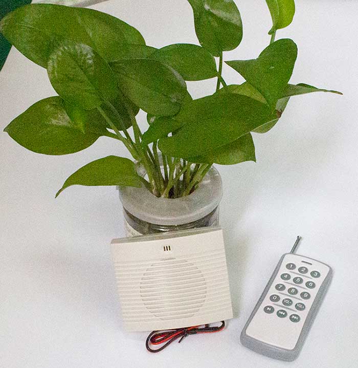 无线？？？？？？？丶苹